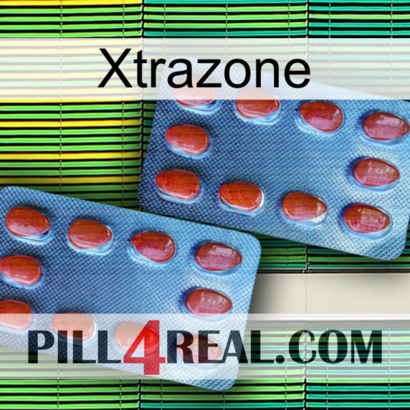 Xtrazone 05.jpg